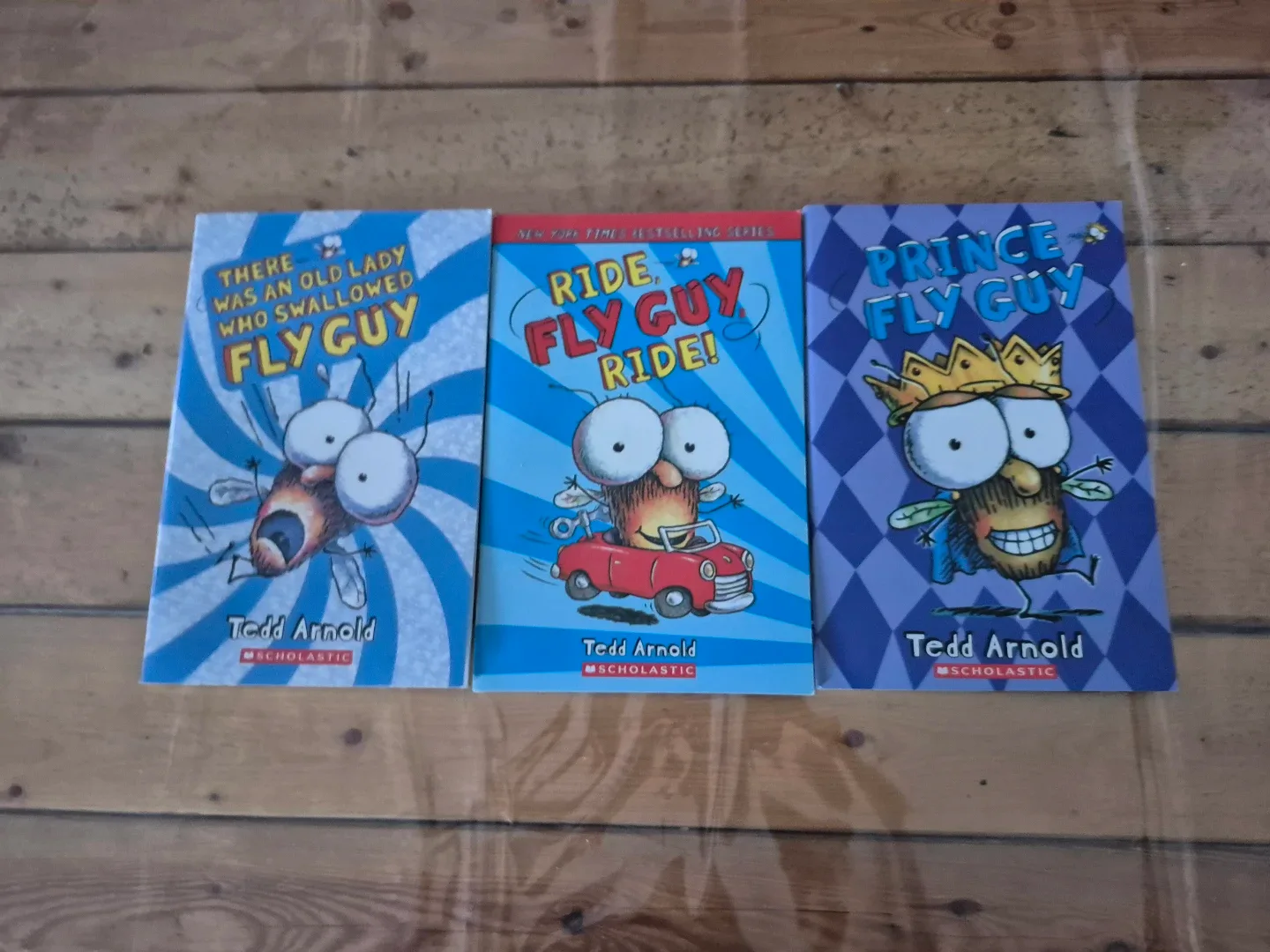 Fly Guy Book Series by Tedd Arnold - 15 books - photo 2