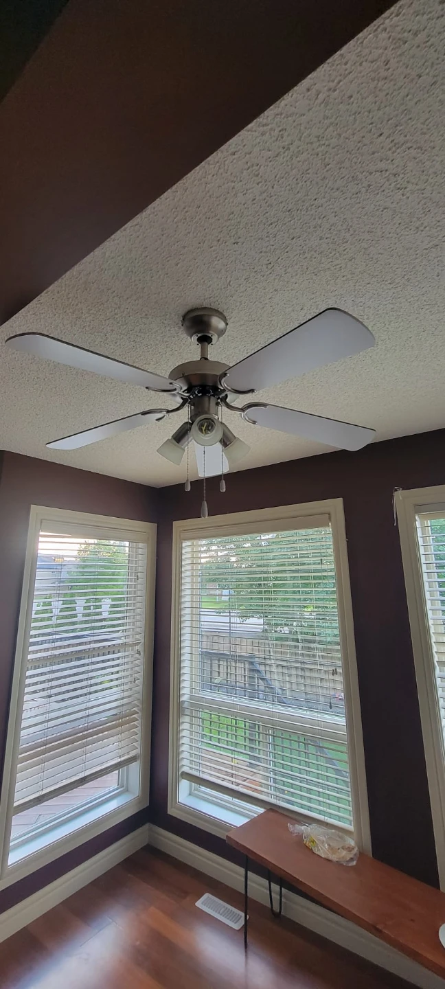 Ceiling Fan with Lights