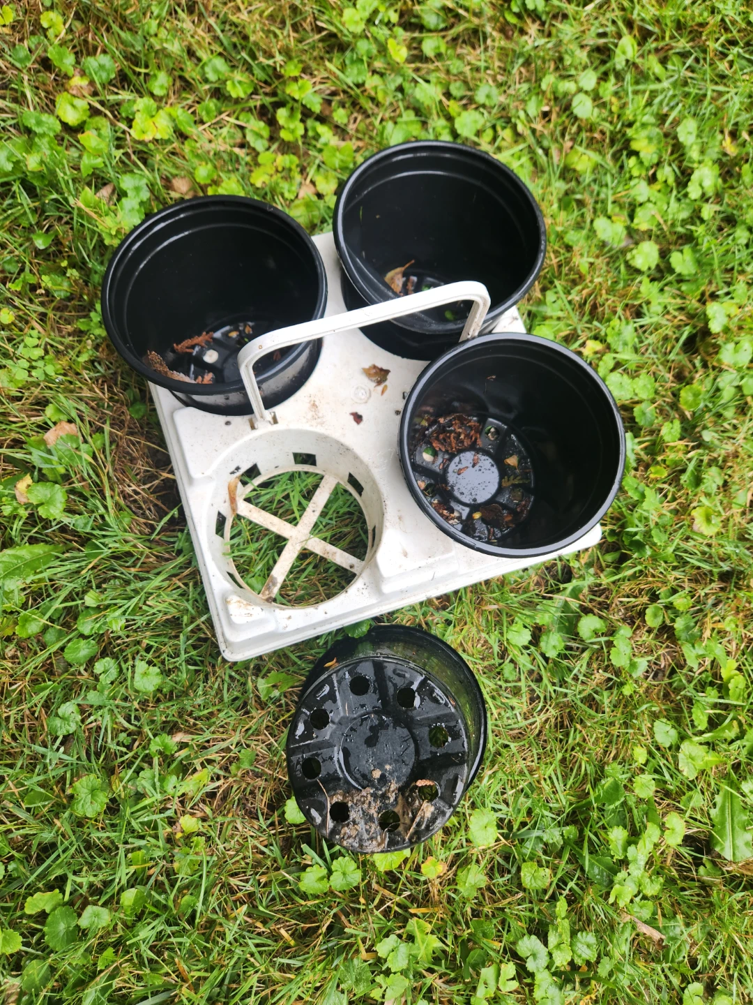 Free Set of 4 Black Plastic Plant Pots with Carrier - photo 2
