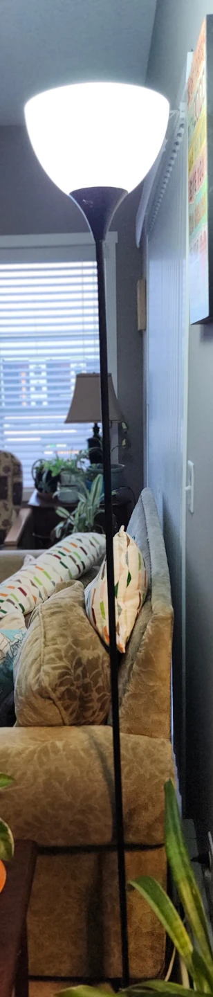 2 Black Floor Lamp with White Shade