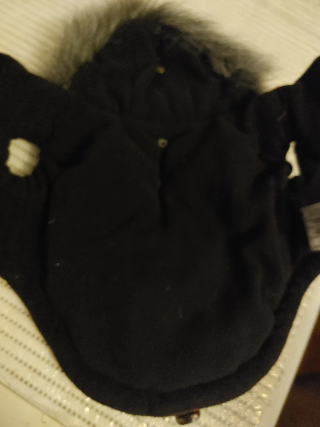Bailey & Bella Pet Jacket XS/TP - photo 2