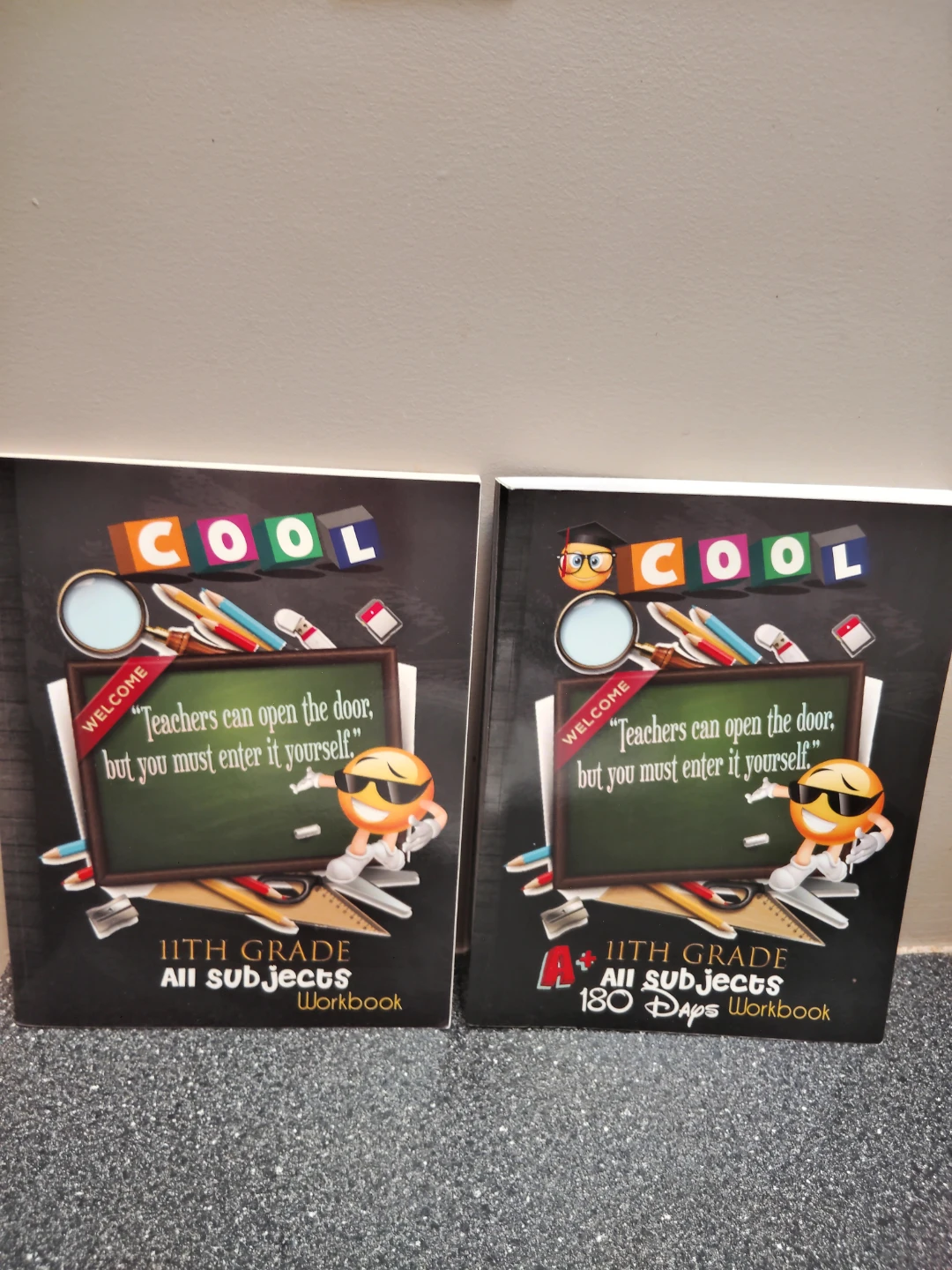 Brand New 11th Grade Homeschool & Spanish Workbook Lot