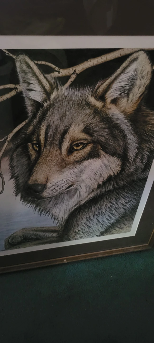 Limited Edition Print "First Light" by Randy Fehr