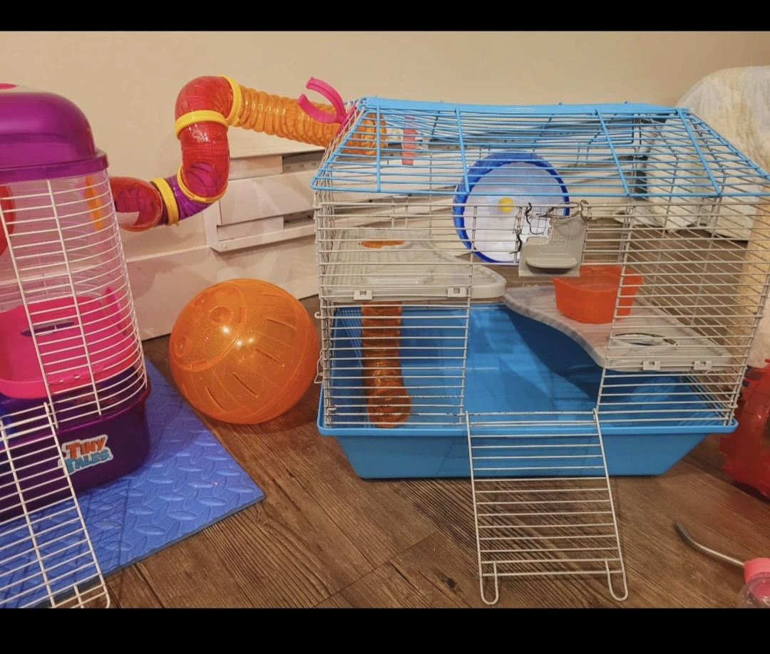 2 Cages Hamster  with Accessories and half bag of pine bedding