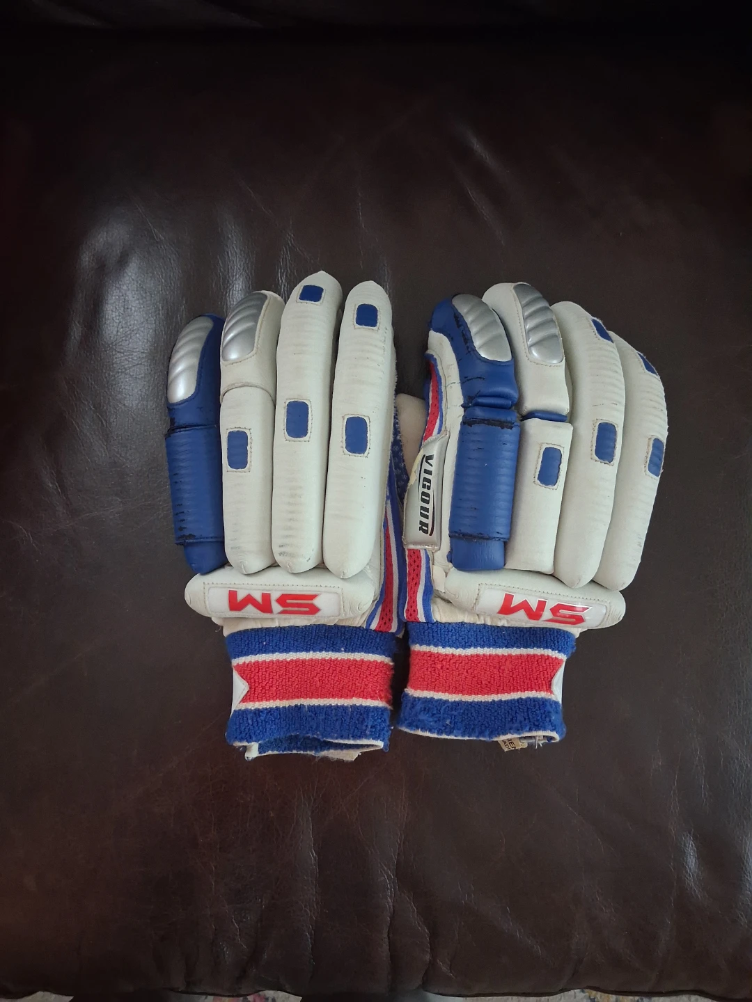 Batting Gloves