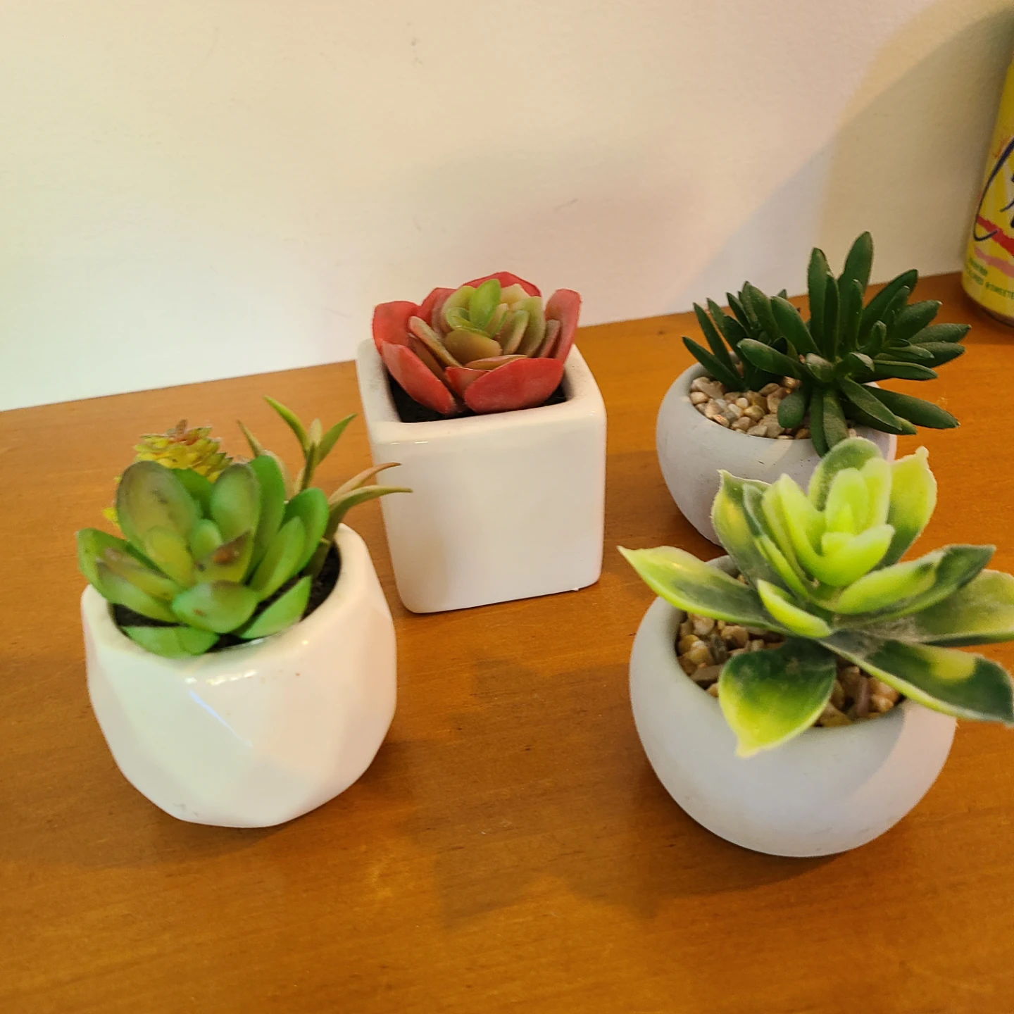 Set of 4 Faux Succulents in Pots - photo 2
