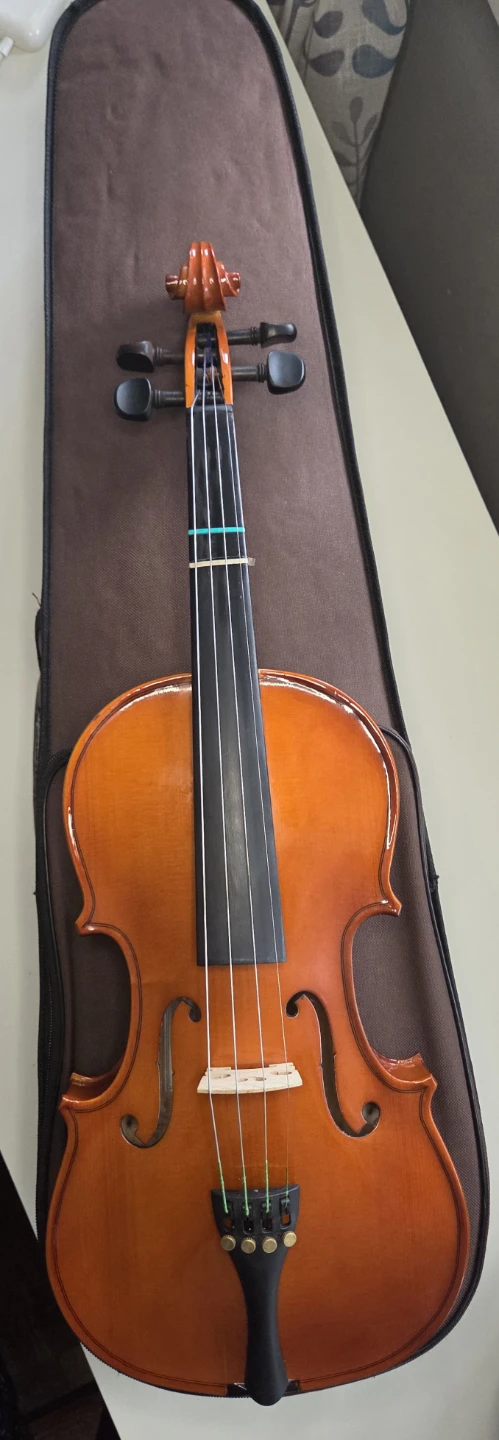 Stentor Student Standard Violin with Case and Accessories - photo 3
