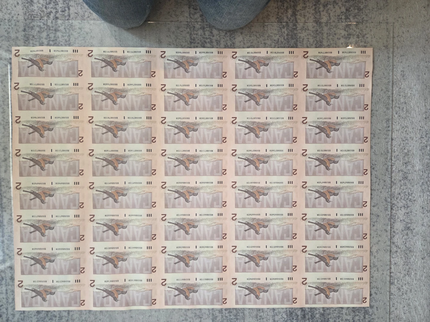 Framed Canadian $2 Bills Display
