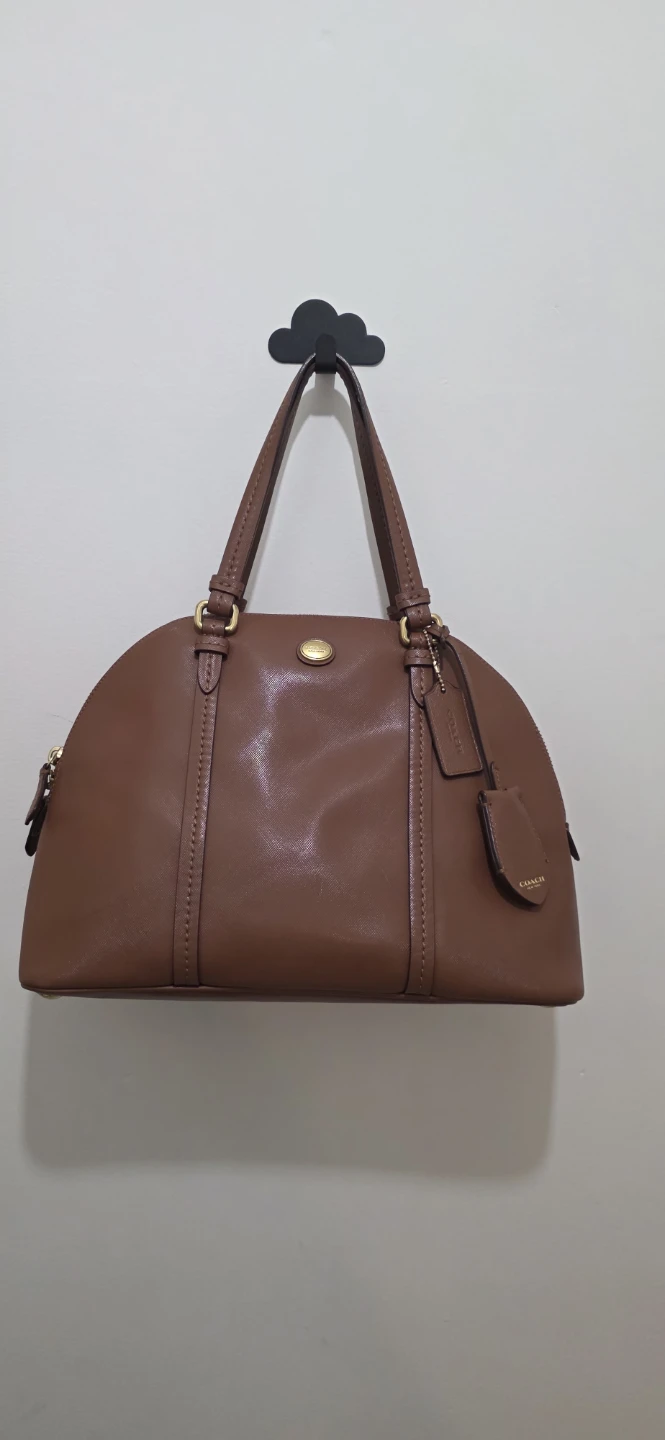 Coach Brown Leather Dome Satchel Bag