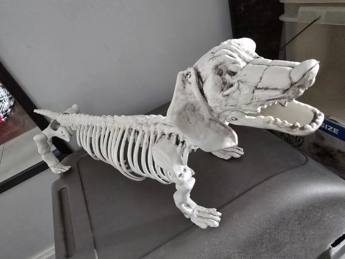 Skeleton Dog Prop - photo 2