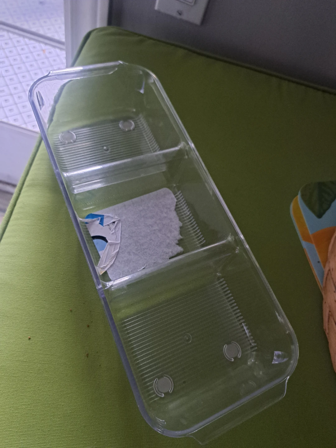 Clear Divided Storage Container