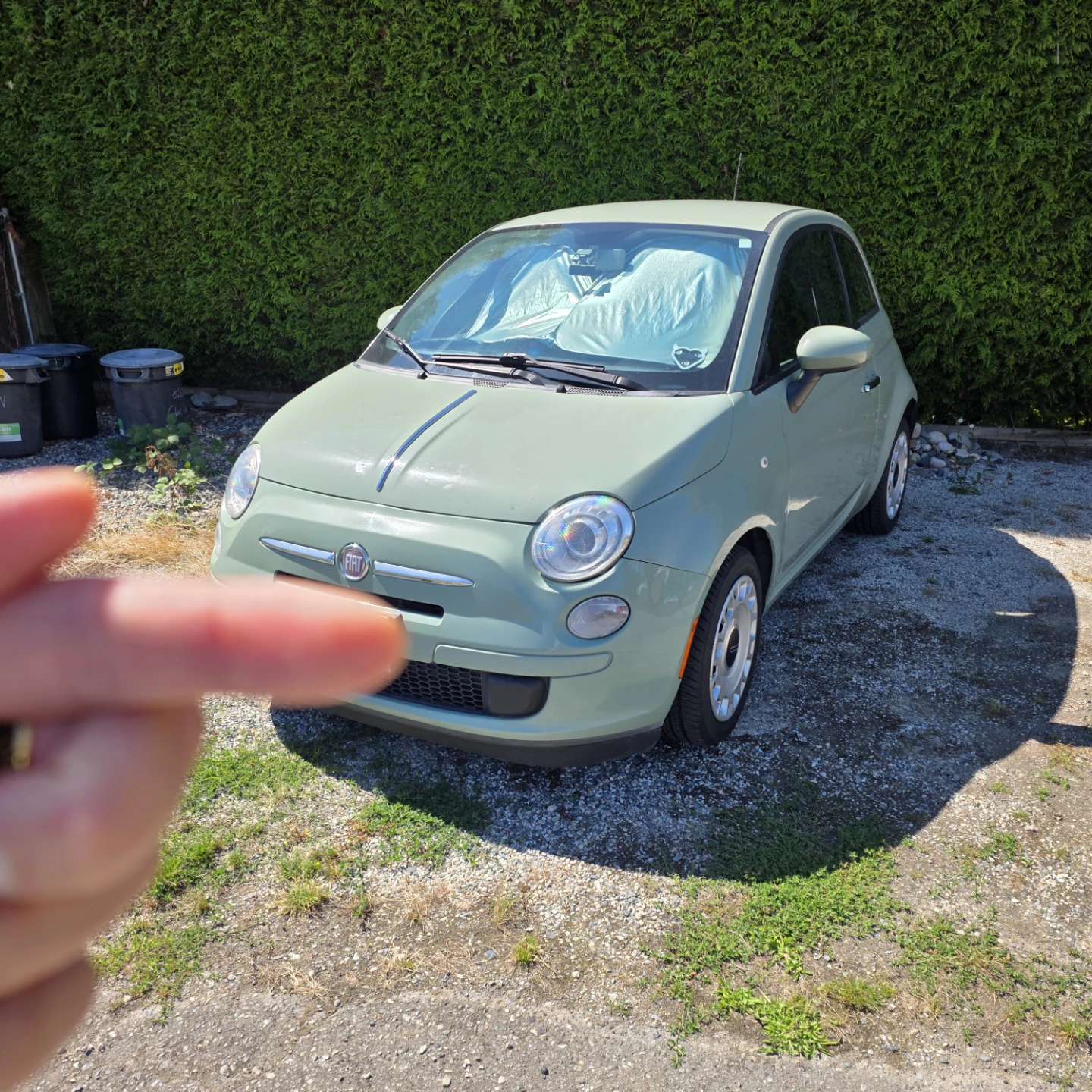 Sage Green Fiat 500