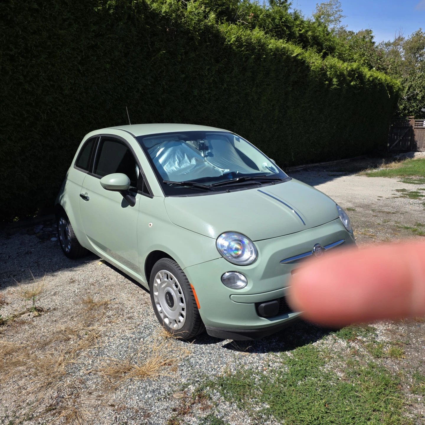 Sage Green Fiat 500 - photo 2