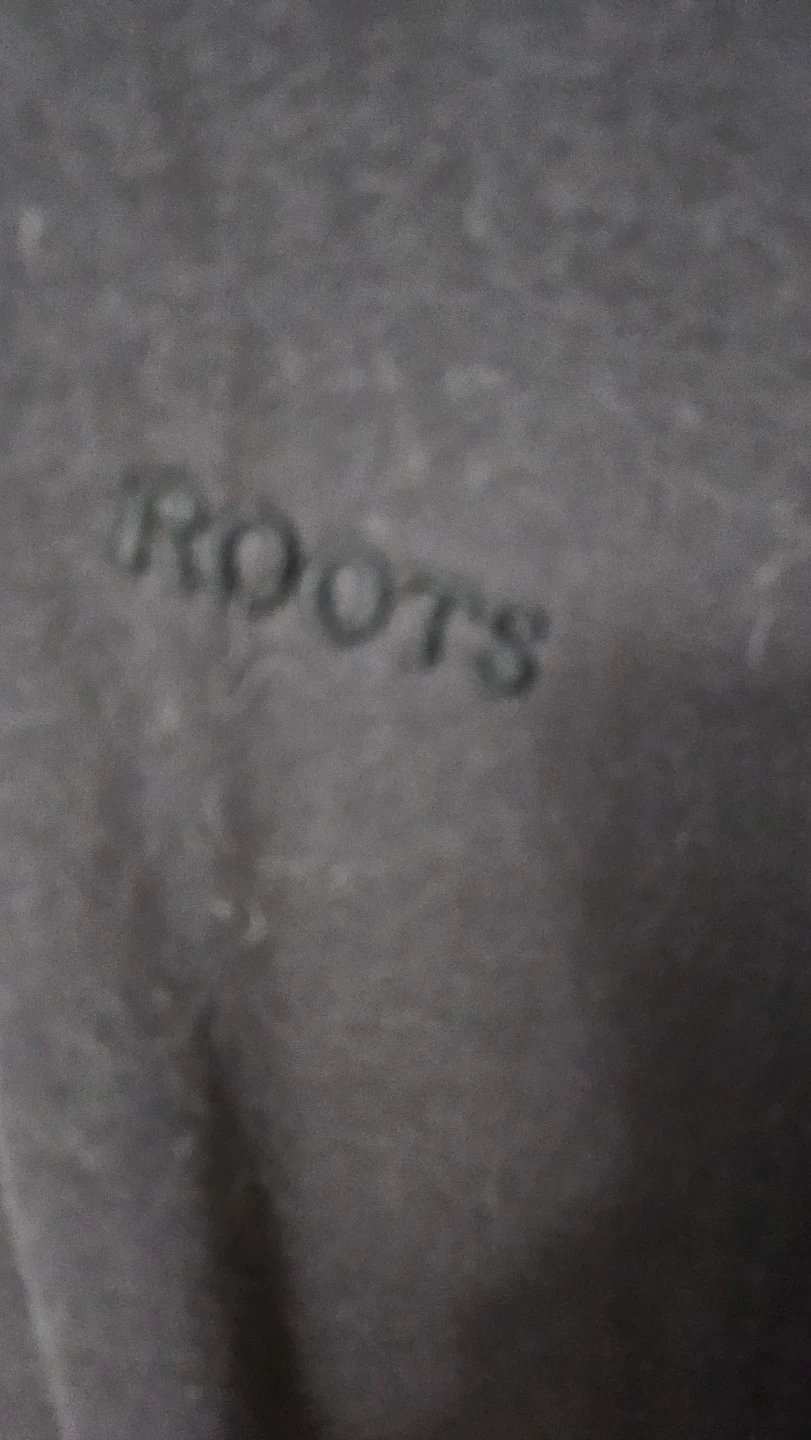 Roots Black Hoodie - photo 2