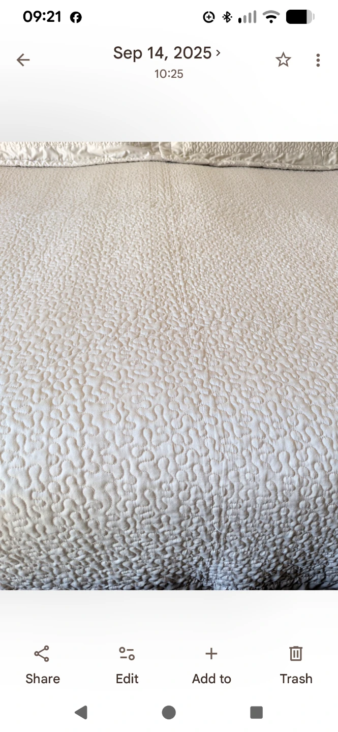Oyster coloured Textured King Coverlet - photo 2