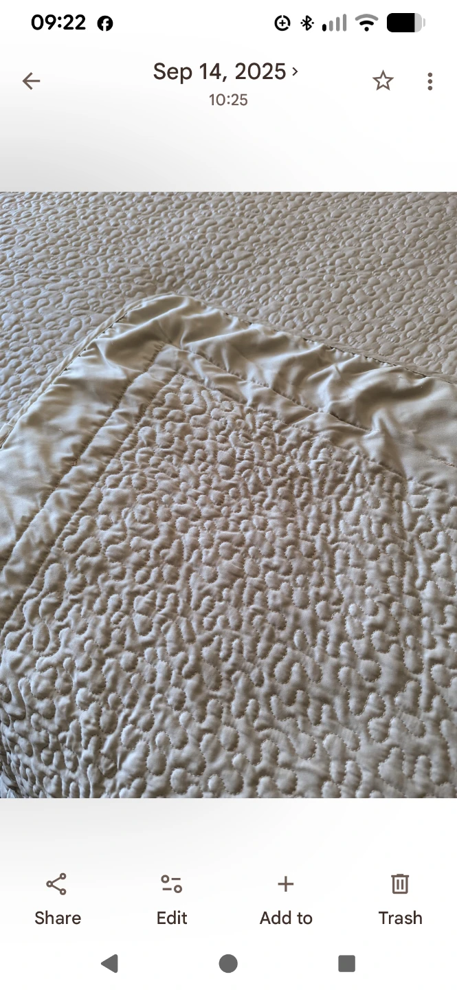 Oyster coloured Textured King Coverlet - photo 3