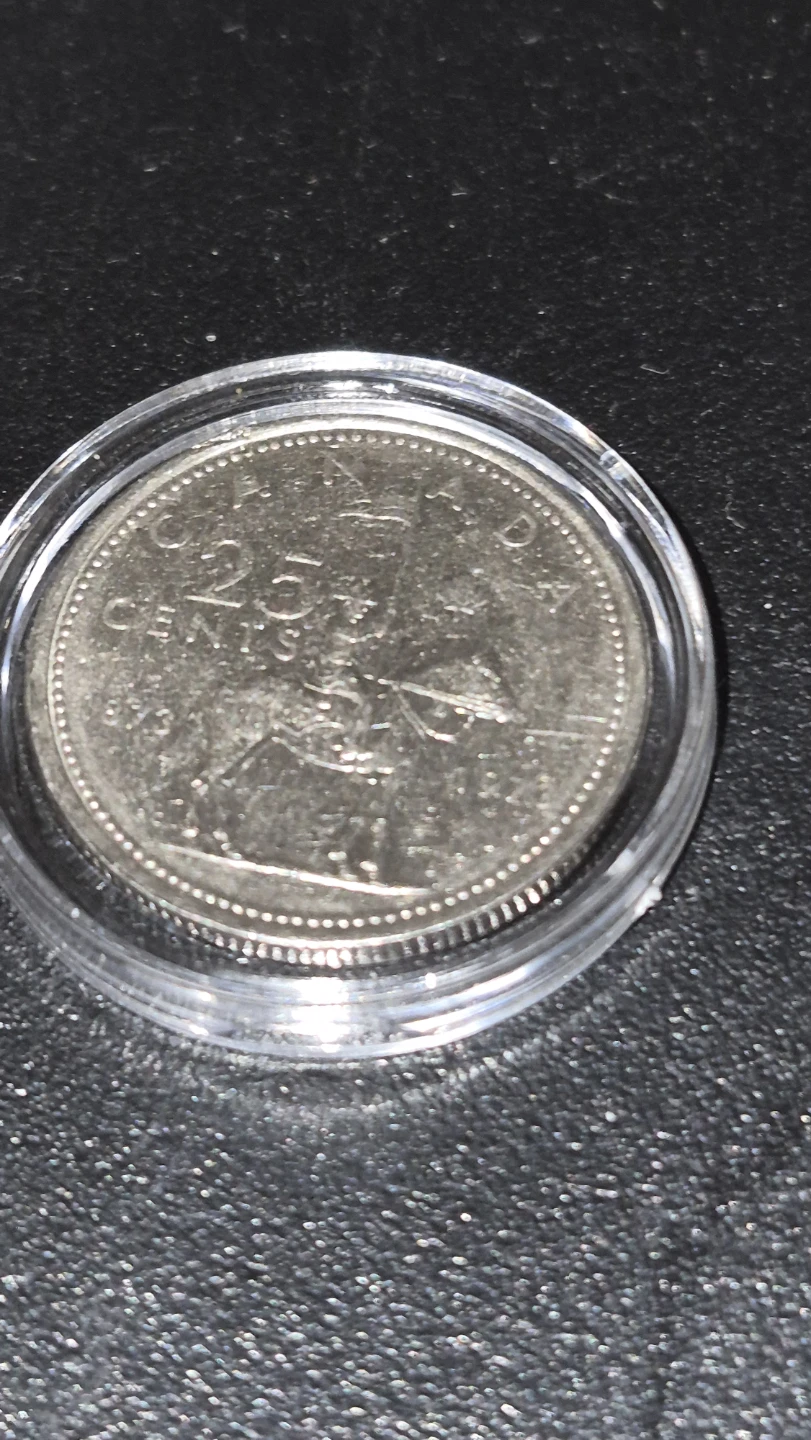 Crazy horse coin or 💯  years of RCMP  coin