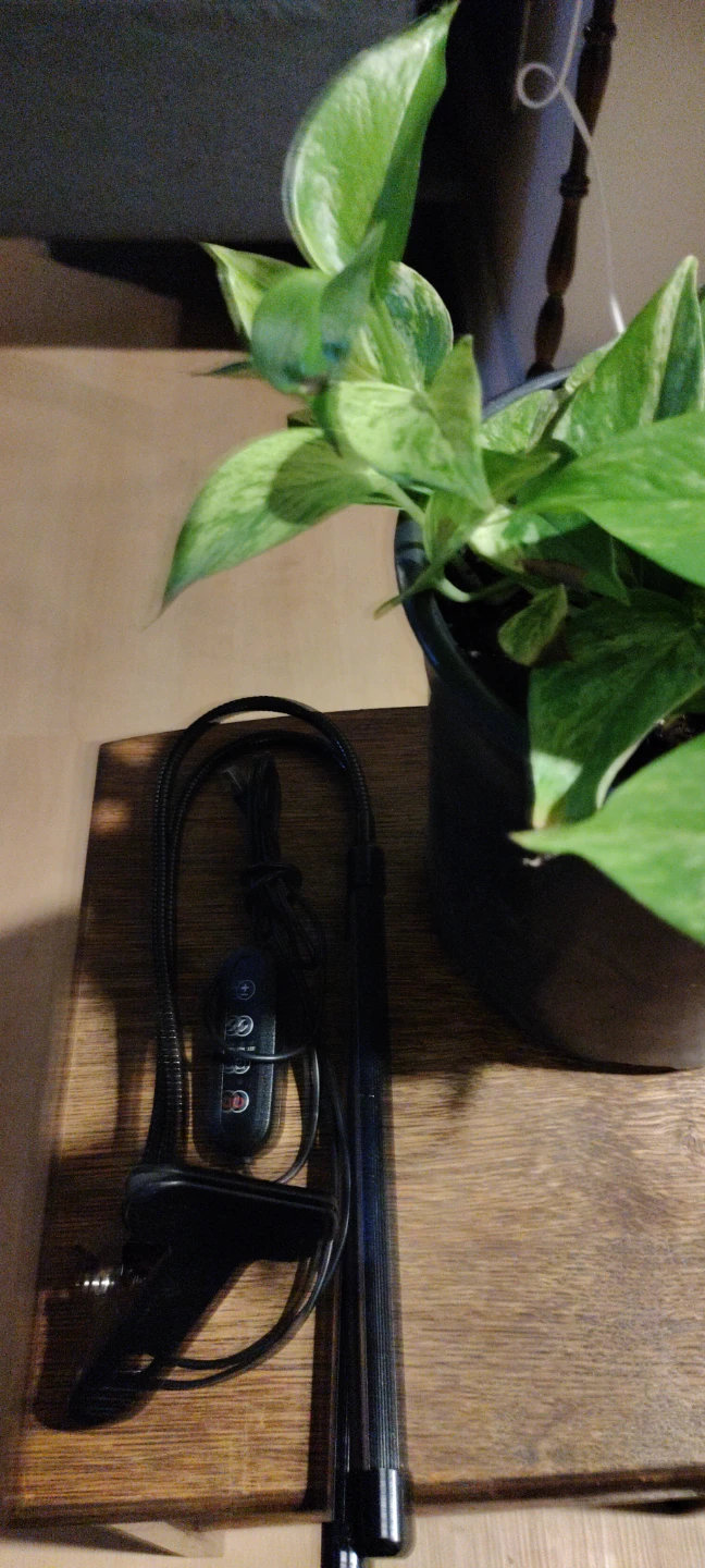 Clip-on Grow Light - photo 4