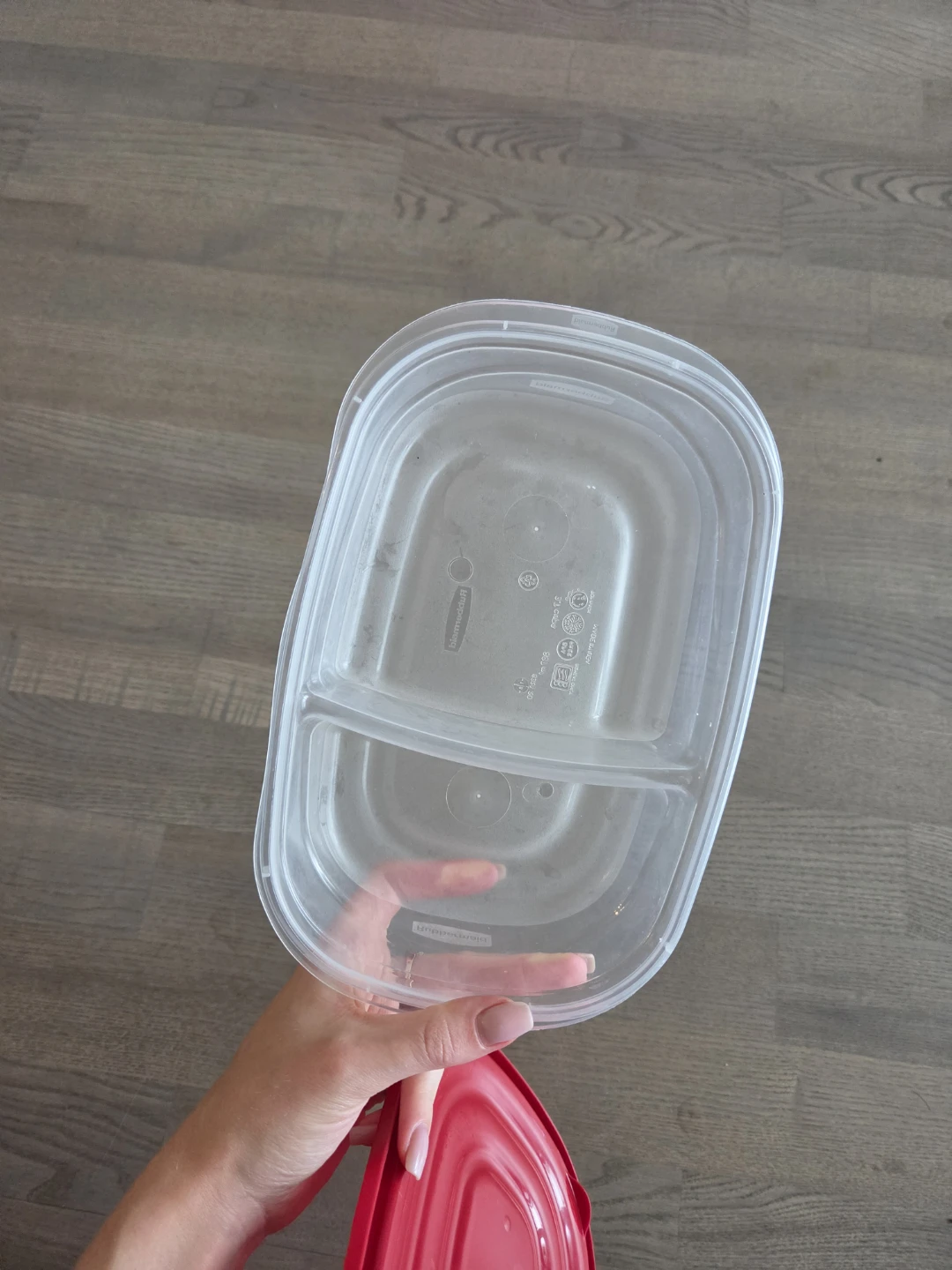 Rubbermaid Food Storage Container with Red Lid - photo 2