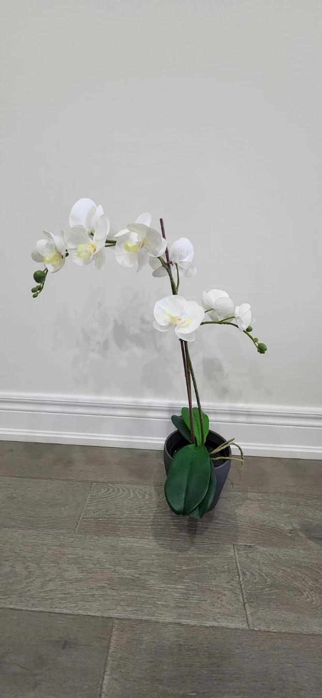 Multiple Items For Sale