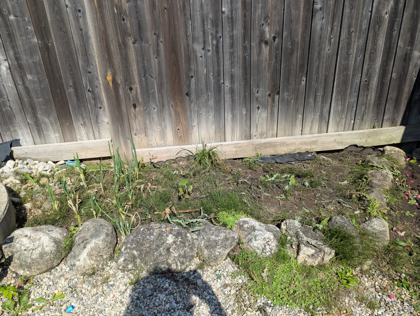 Rocks and Flat Stone  for landscaping for Free - photo 2