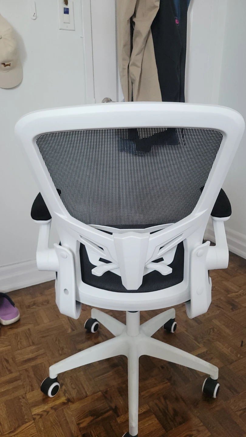 Swivel Office Chair - height adjustable, lumbar support (white)