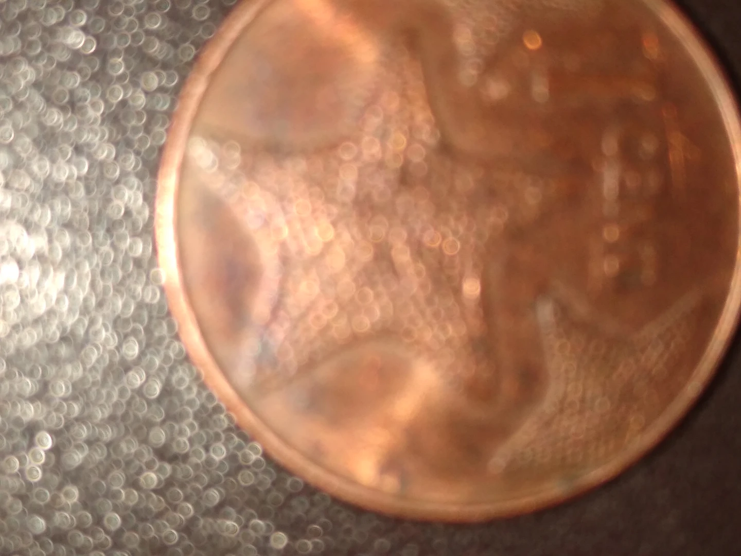 2006 one penny from the Commonwealth of the Bahamas - photo 2