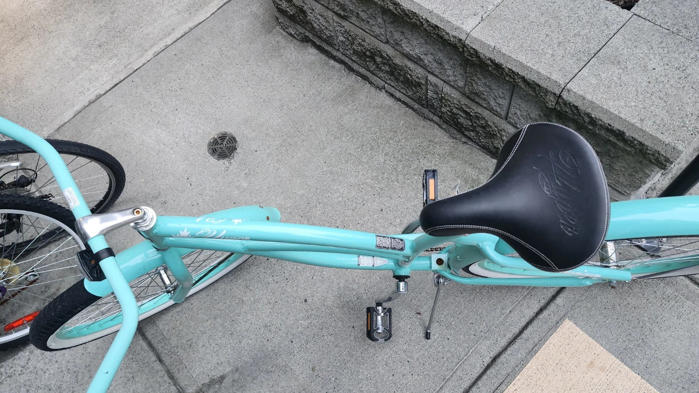 Dynamic  Bike - photo 2