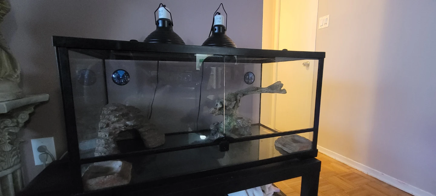 36 Gallon Reptile Terrarium Tank - photo 2