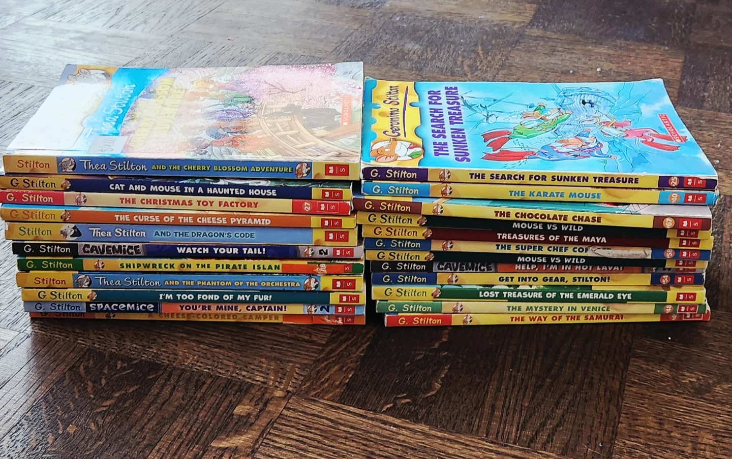 Geronimo Stilton book