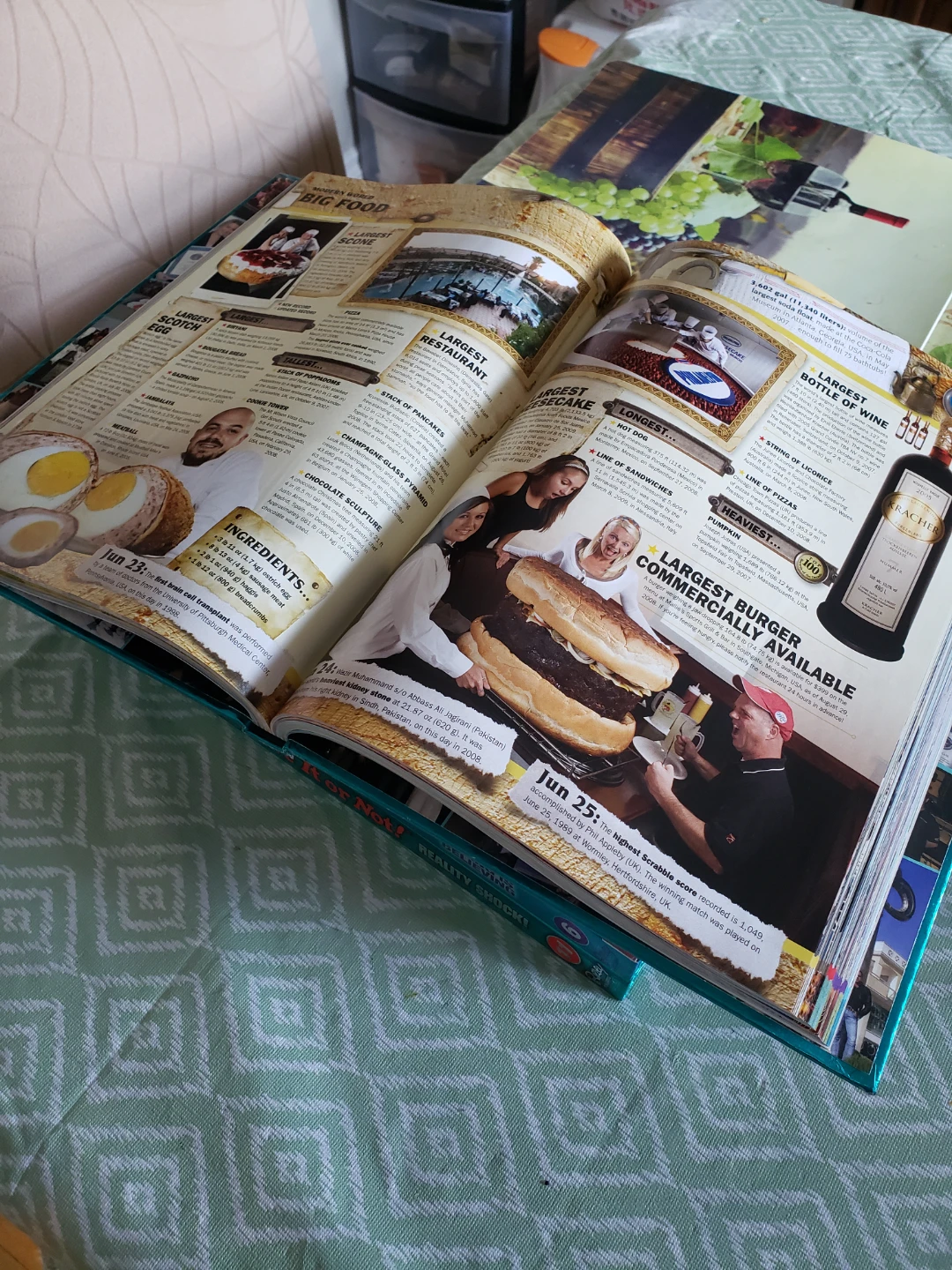 Guinness World Records 2010 Book - photo 2