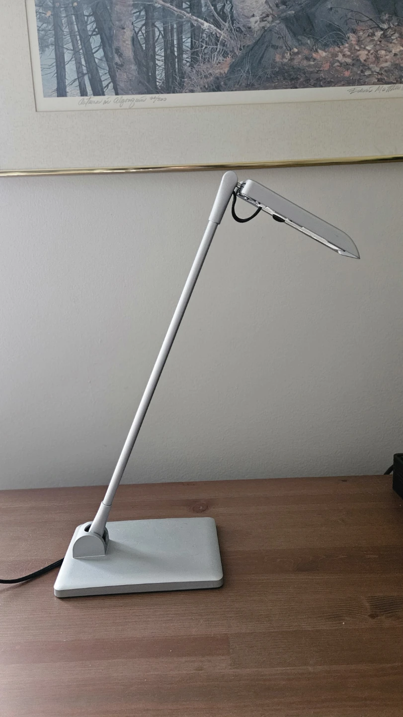 Grey Modern Desk Lamp with Adjustable Arm - photo 2