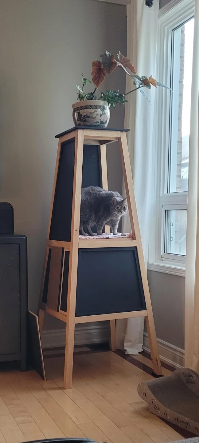Wooden Cat Tree Tower with Multiple Levels - photo 2