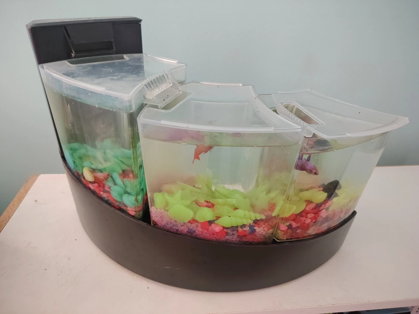3-Tier Betta Fish Tank Aquarium