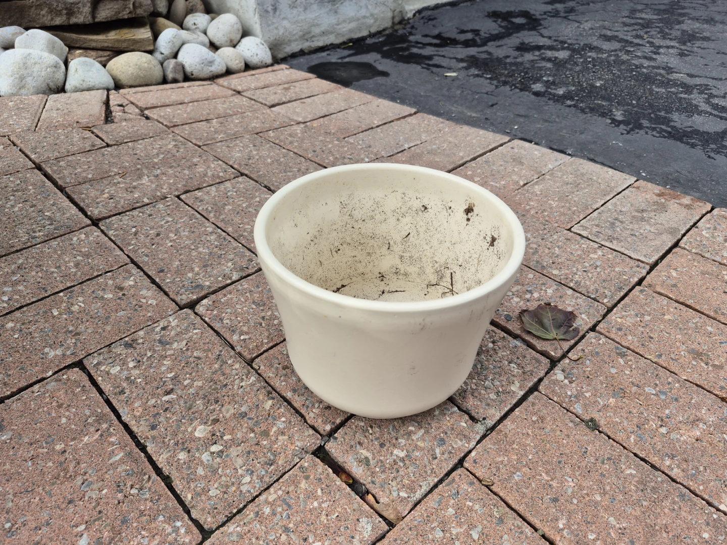 Great Healthy Potted Plant (GREAPE IVY) - photo 5