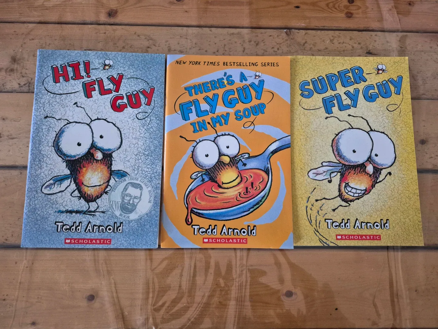 Fly Guy Book Series by Tedd Arnold - 15 books - photo 5