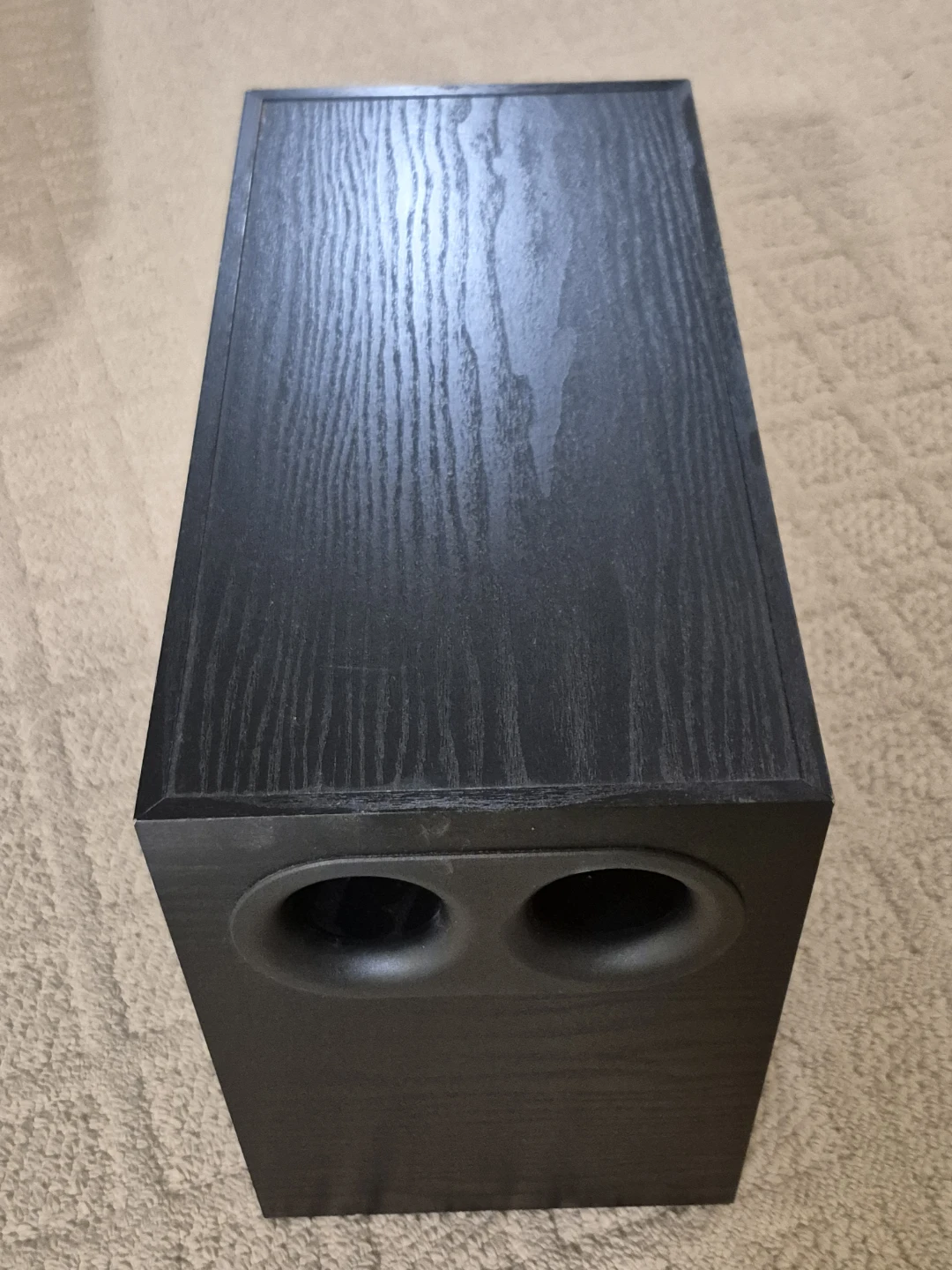 Sound Dynamics Cinesub Duovent Subwoofer