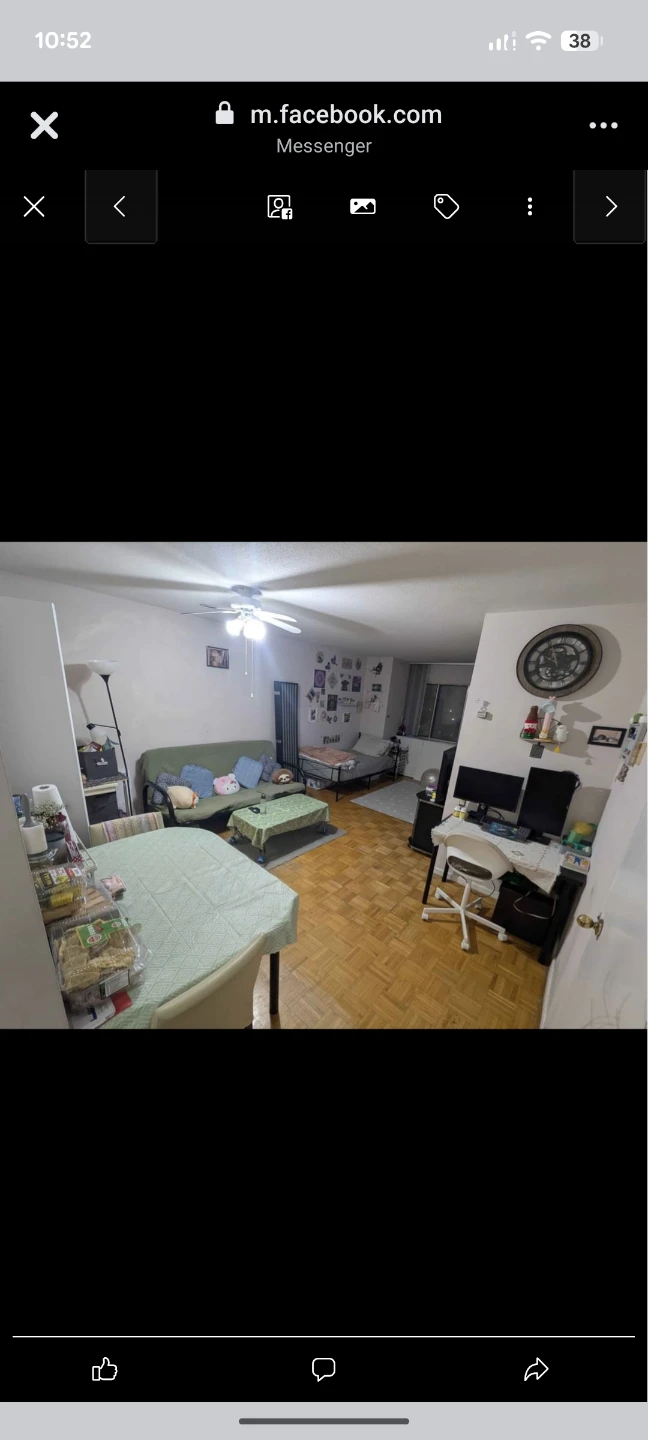 Den / Living Room for rent (2 months only) - photo 4