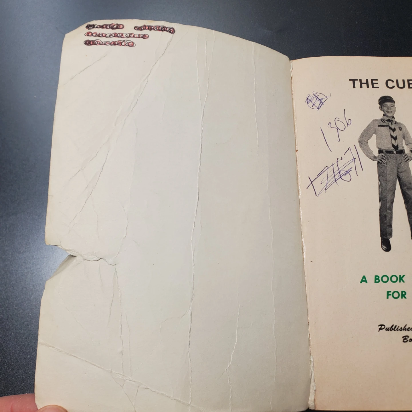 The Cub Book - A Book of Things to Do for Boys 8 to 10 - photo 3