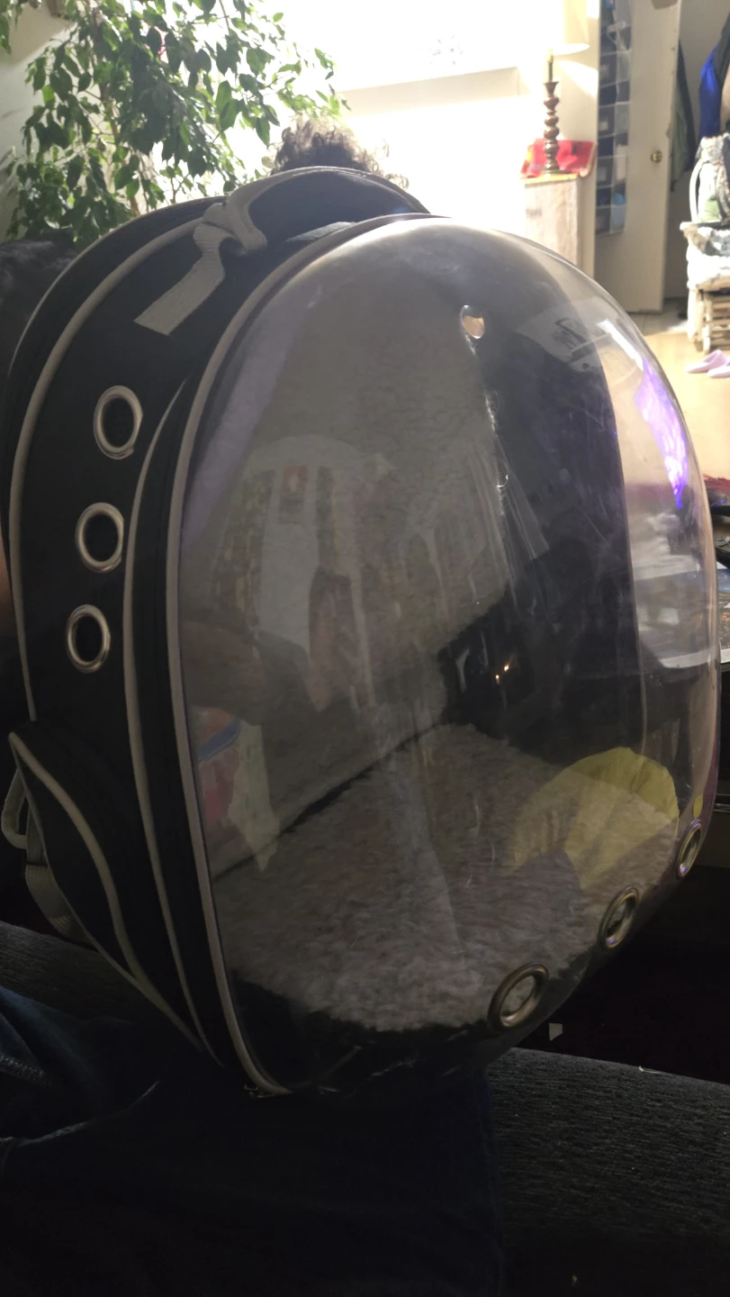 small animal or kitten carrier / backpack