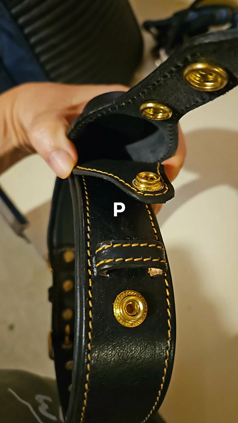 Black Leather Dog Collar with Studs - photo 3