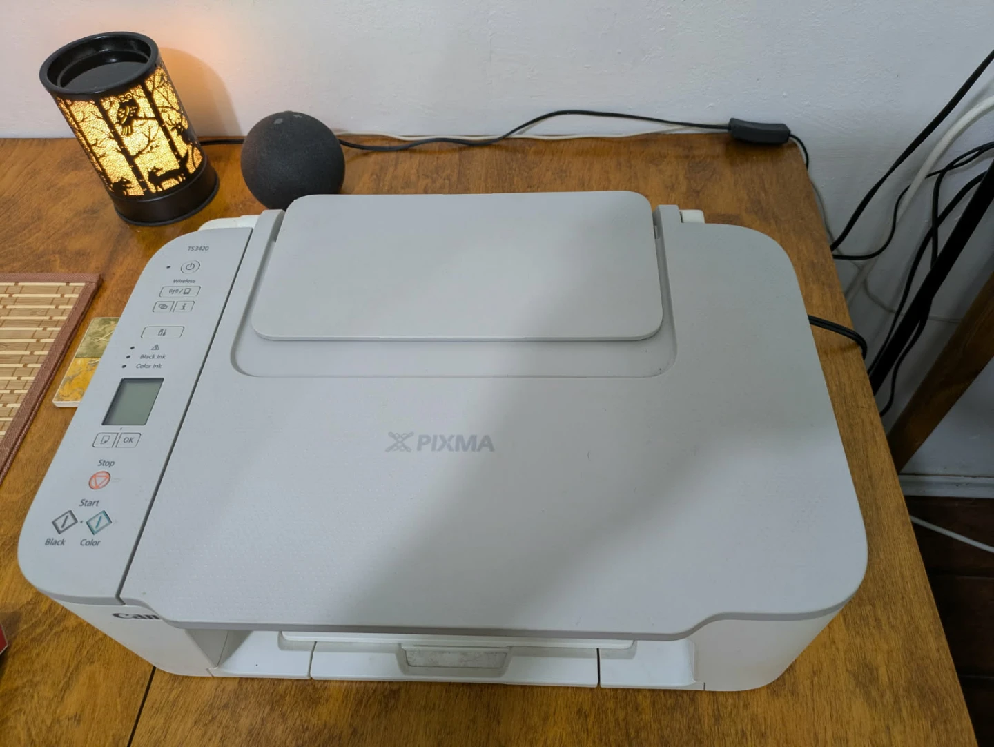 Canon PIXMA TS3420 Printer