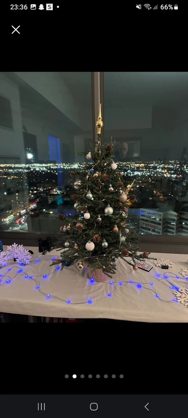 Artificial Christmas Tree with Ornaments and Lights