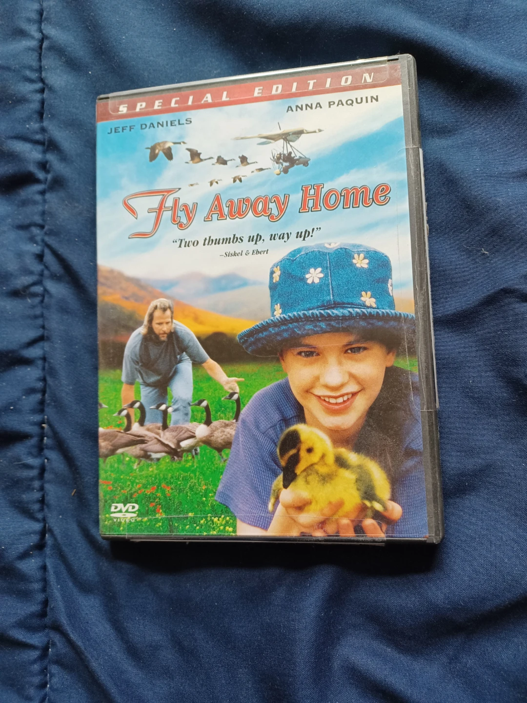 Fly Away Home Special Edition DVD