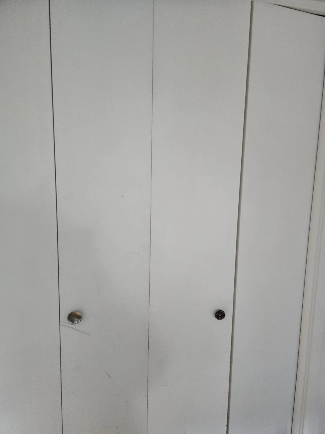 Looking for a roommate