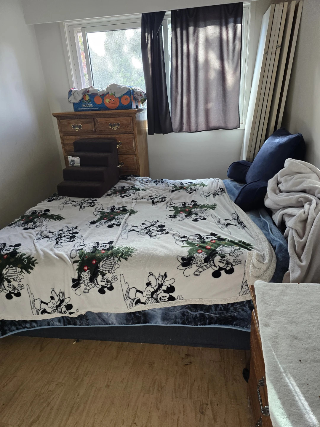 Looking for a roommate - photo 4
