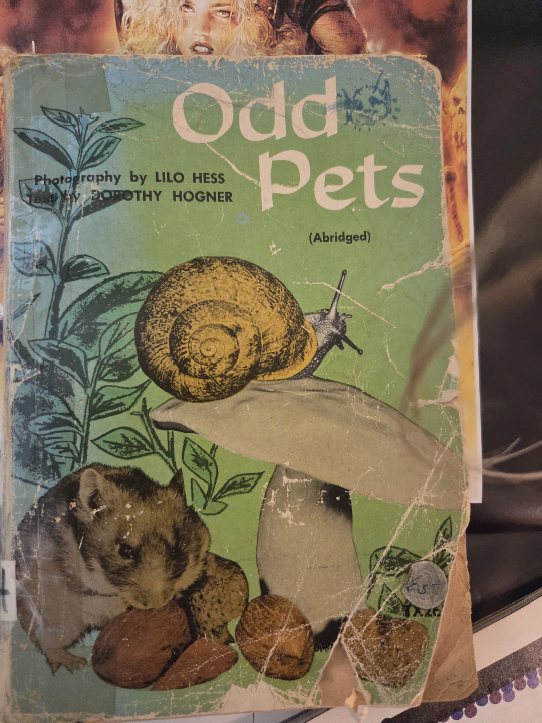 Odd Pets by Scholastic Book Services