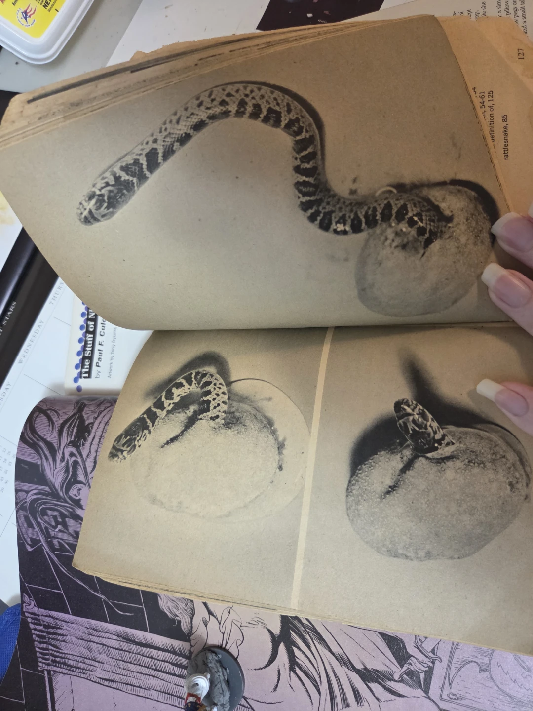 Odd Pets by Scholastic Book Services - photo 4