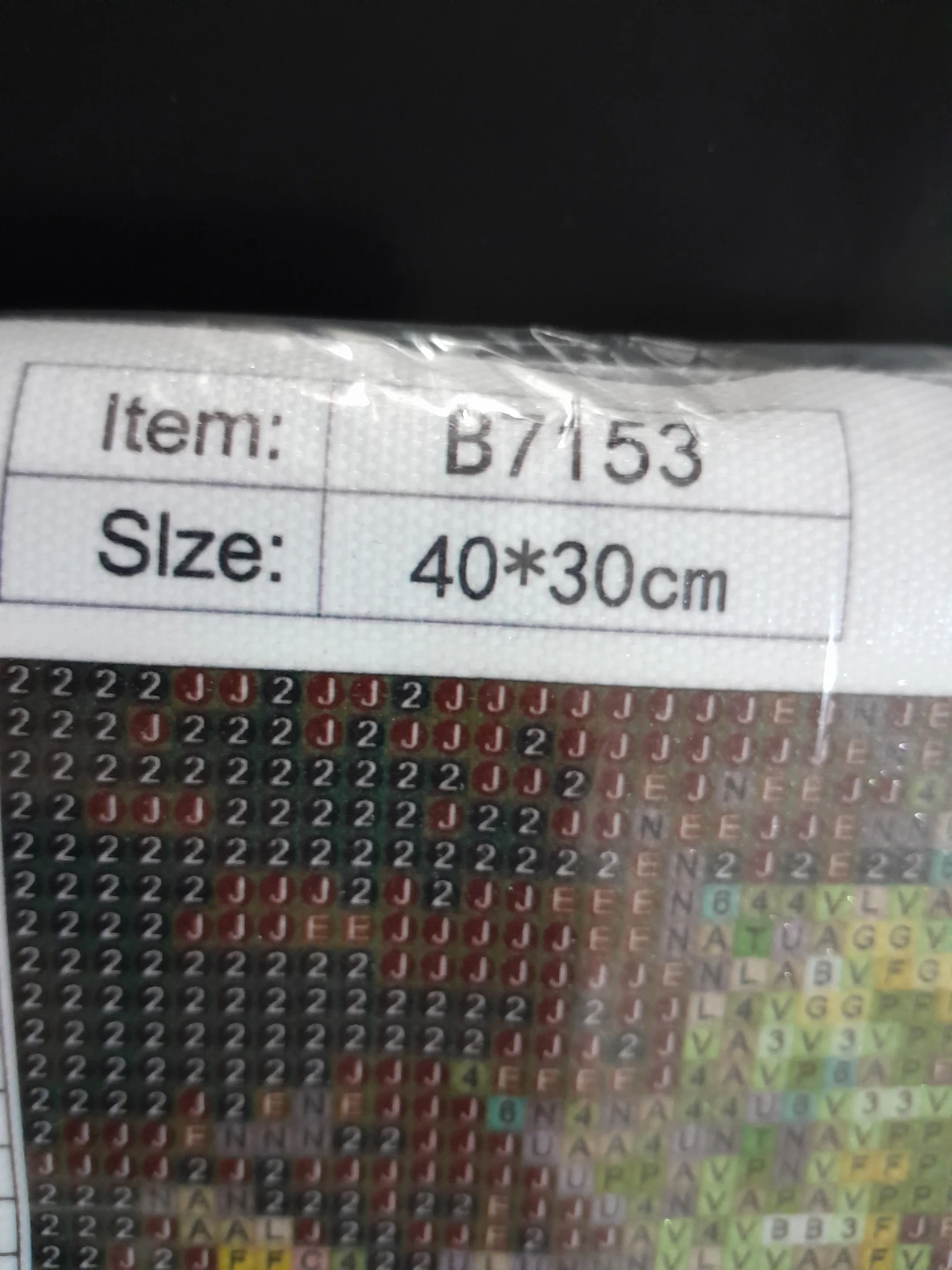 Diamond Painting Kit 40*30cm - photo 2