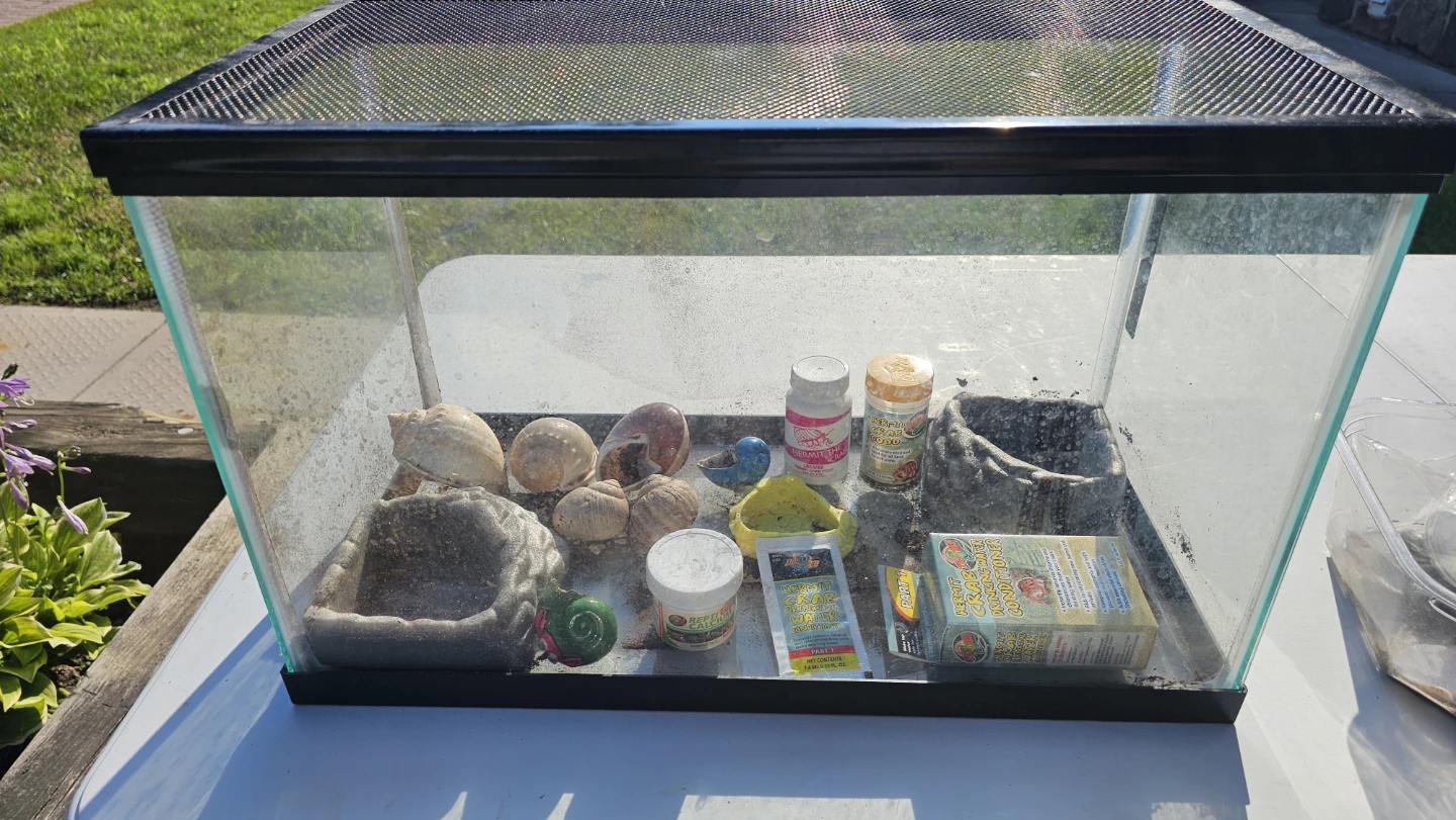 Hermit Crab Habitat with Accessories